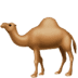 :dromedary_camel: :dromedary_camel: